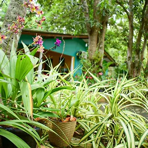 Palitha Habitación en casa particular