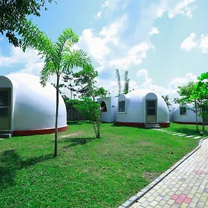 The Lion Kingdom Hotel